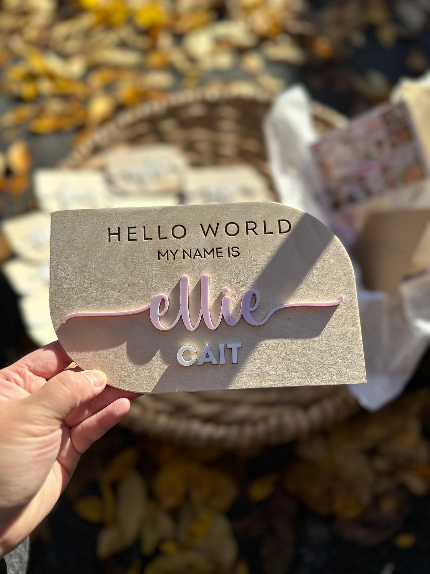 Wooden & Acrylic Hello World Baby Name Announcement Sign